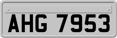 AHG7953
