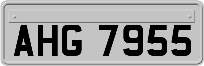 AHG7955