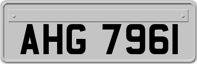 AHG7961