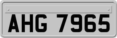AHG7965