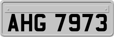 AHG7973