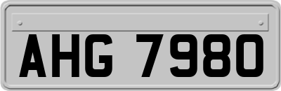 AHG7980