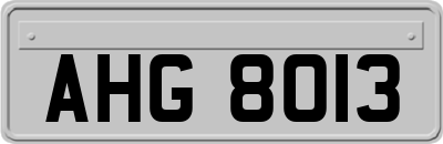 AHG8013