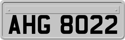AHG8022