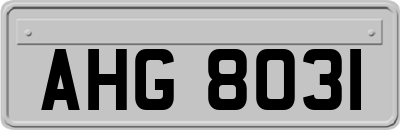 AHG8031