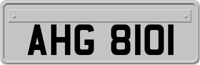 AHG8101