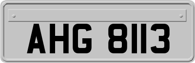 AHG8113