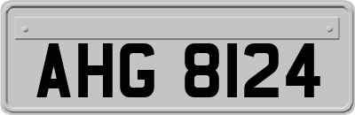AHG8124