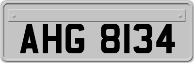 AHG8134