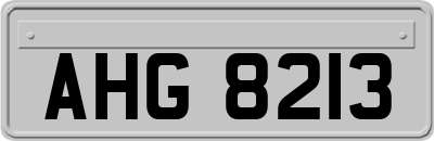 AHG8213
