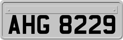 AHG8229