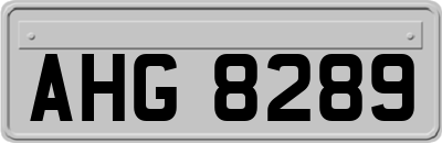 AHG8289