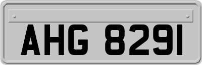 AHG8291