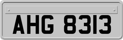 AHG8313