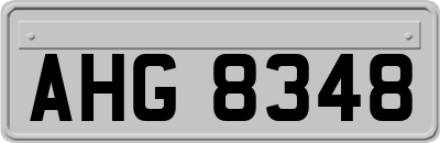 AHG8348