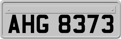 AHG8373