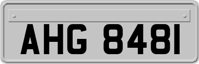 AHG8481
