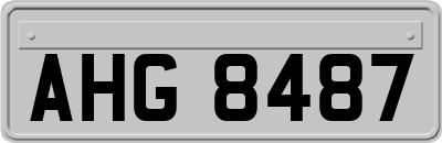 AHG8487