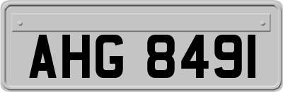 AHG8491