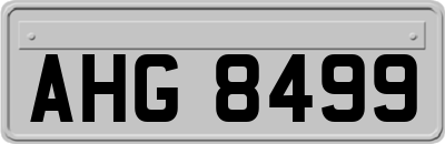 AHG8499
