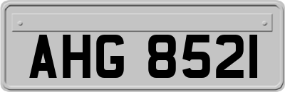 AHG8521