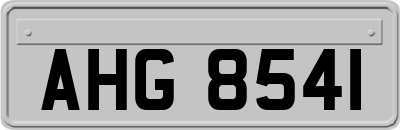 AHG8541