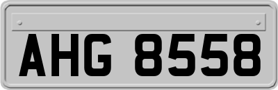 AHG8558