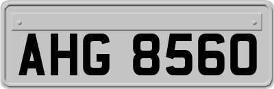 AHG8560