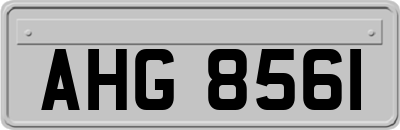 AHG8561