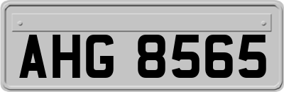AHG8565