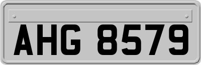 AHG8579