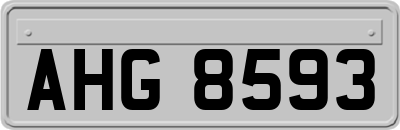 AHG8593