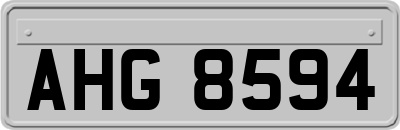 AHG8594