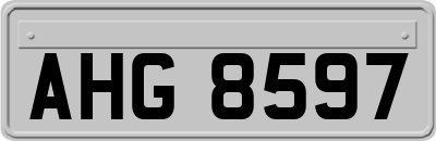 AHG8597