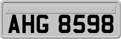 AHG8598