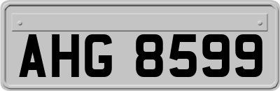 AHG8599