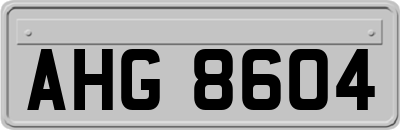 AHG8604