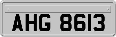 AHG8613