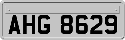 AHG8629