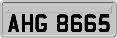 AHG8665
