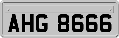 AHG8666