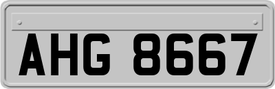 AHG8667