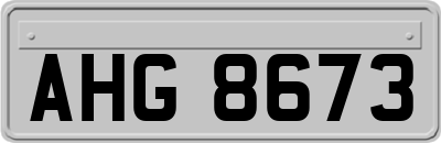 AHG8673