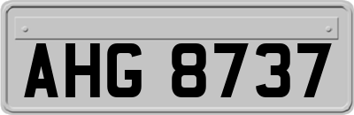 AHG8737