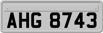 AHG8743