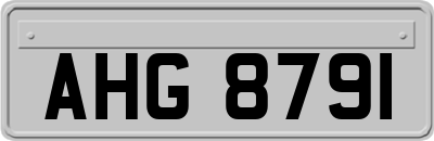AHG8791