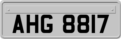 AHG8817