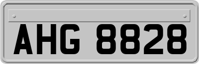 AHG8828