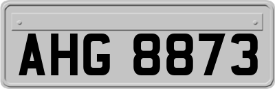 AHG8873