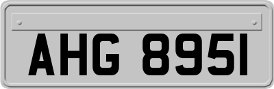 AHG8951